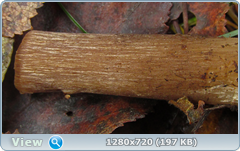 0_f2800_b066cc43_orig.png