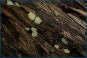 0_d0c99_6395a0be_orig.jpg