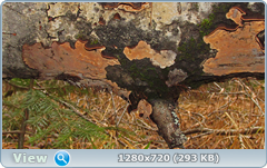 0_fd68e_4def003e_orig.png
