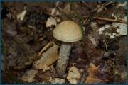 0_d2a46_9fcc7c07_orig.jpg
