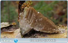 0_f6df2_69ca14d8_orig.png