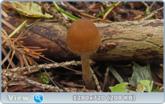 0_f12a3_a515738f_orig.png