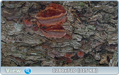 0_f568c_9cc2352f_orig.png