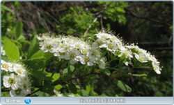 0_e3566_3f3d69e4_orig.png