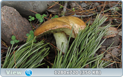 0_e979b_8fd25b2a_orig.png