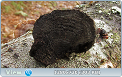 0_103837_5175c490_orig.png