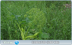 0_109d96_5c517b55_orig.png