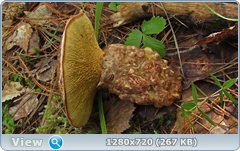 0_10b54a_41bc79c7_orig.png
