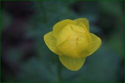 0_1217fd_e517691e_orig.jpg