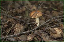 0_12450c_465a1839_orig.jpg
