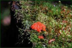0_124518_cb9cede9_orig.jpg