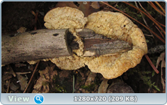 0_10201e_483a1a6f_orig.png