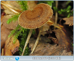 0_102862_5825e17e_orig.png