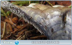0_10b25a_97fedcdf_orig.png