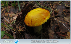 0_10b570_bd053dcd_orig.png