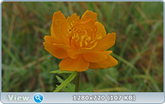 0_ef6cb_a233ad2e_orig.png