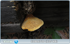 0_fc2a0_3f55f54b_orig.png