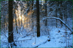 0_1130be_4c16ed9e_orig.png