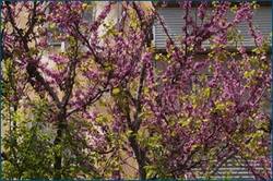 0_cd39f_14515006_orig.jpg