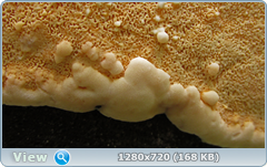0_fc263_9371464e_orig.png