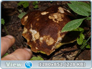 0_d4c20_c1364ab3_orig.png
