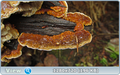 0_f6dfc_74c9918_orig.png
