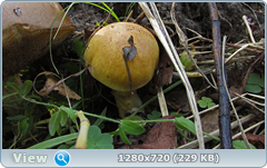 0_ef341_eeb0dc63_orig.png