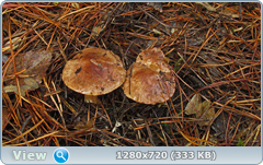 0_f275e_f8c38000_orig.png