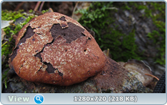 0_f3842_725fc2d1_orig.png