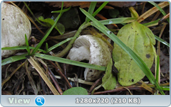 0_f304b_c1a334be_orig.png