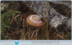 0_fc58a_b746142f_orig.png