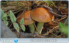 0_ea8c1_15e18e52_orig.png
