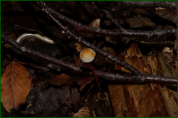0_d9479_3e333a35_orig.png