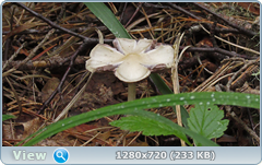 0_e9aed_cfc89c24_orig.png