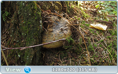 0_ef38e_b5797388_orig.png
