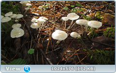 0_12afb8_860e9d3b_orig.png