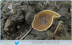 0_12bf45_a61e2329_orig.png