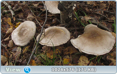 0_12df68_150a7d50_orig.png
