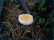0_10813f_580eb1c2_orig.png