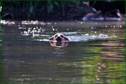 0_14934e_9edcf442_orig.jpg
