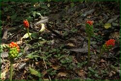 0_fd91c_136dbc52_orig.jpg