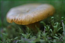 0_1493a2_b52ffdd4_orig.jpg