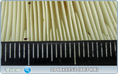 0_129c8a_c07a4f14_orig.png