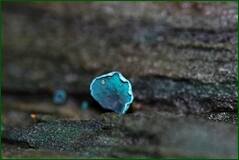 0_ffefb_94d84685_orig.jpg