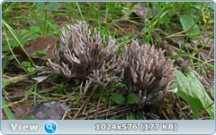 0_12c1f3_e083b371_orig.png