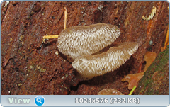 0_12dd85_f001087_orig.png