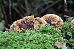 0_151aca_63323f46_orig.jpg