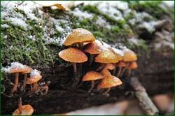 0_152695_9f4ca156_orig.jpg