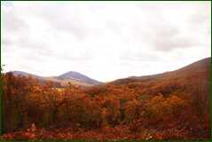 0_10199c_87f36db6_orig.jpg