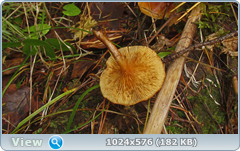0_12dca4_12dcfbc_orig.png